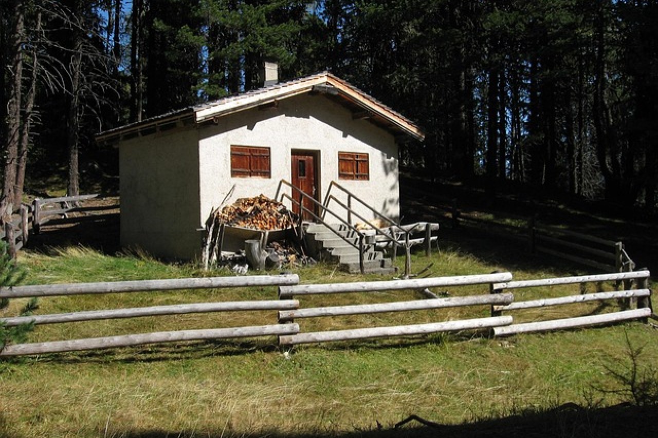 L'évolution de la chasse : d'une vocation à un loisir