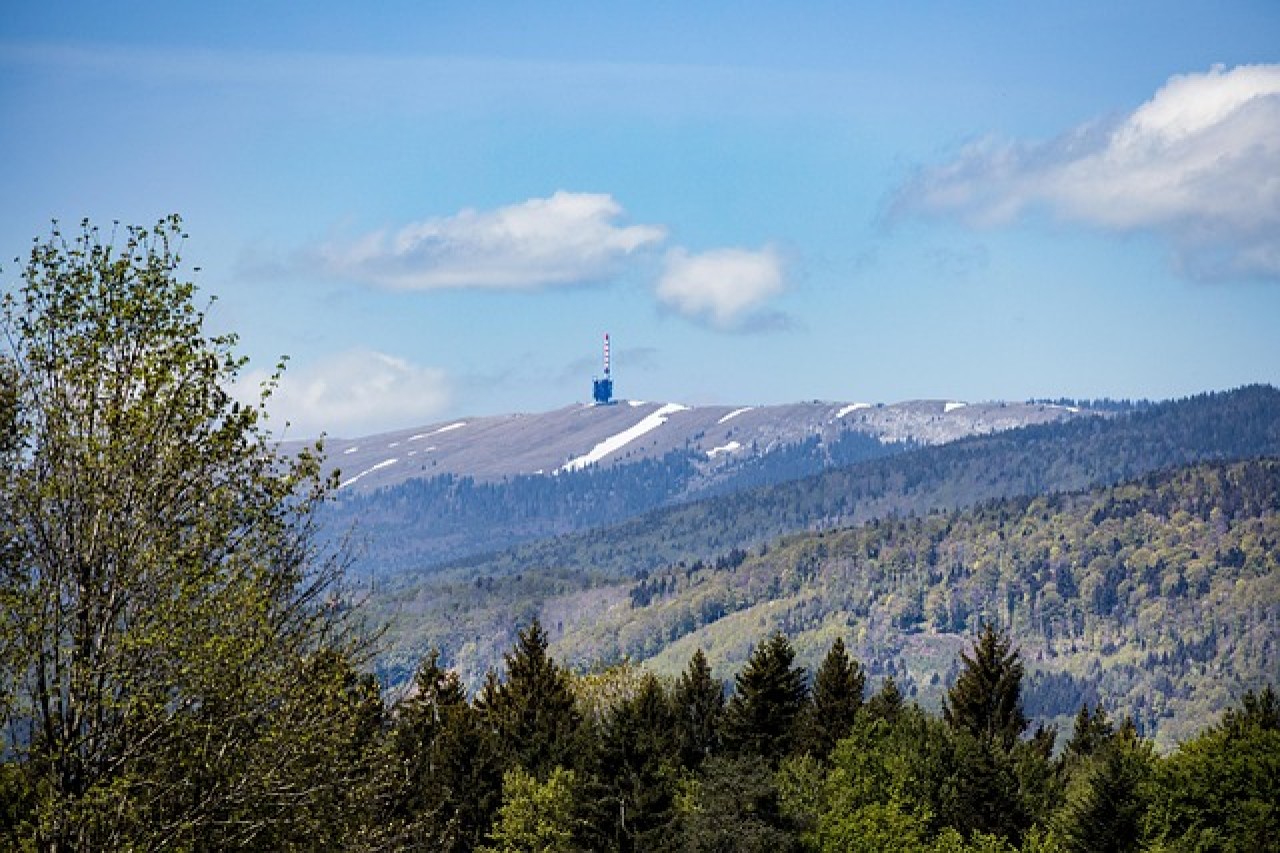 Contracte secrete scandaloase între promotorul energiei eoliene și municipalitățile berneze