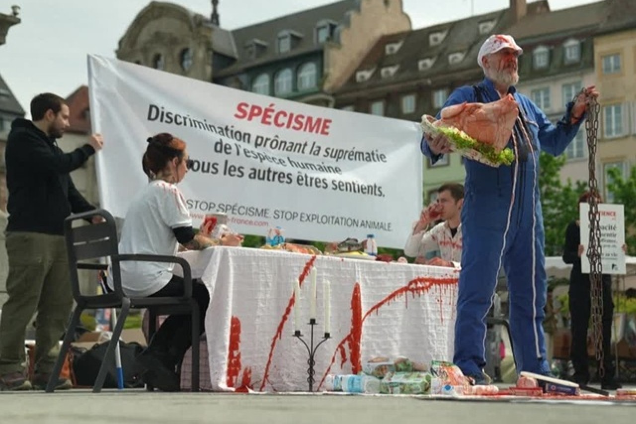 Aktivisten in strassburg protestieren gegen das schlachten von tieren zu ostern