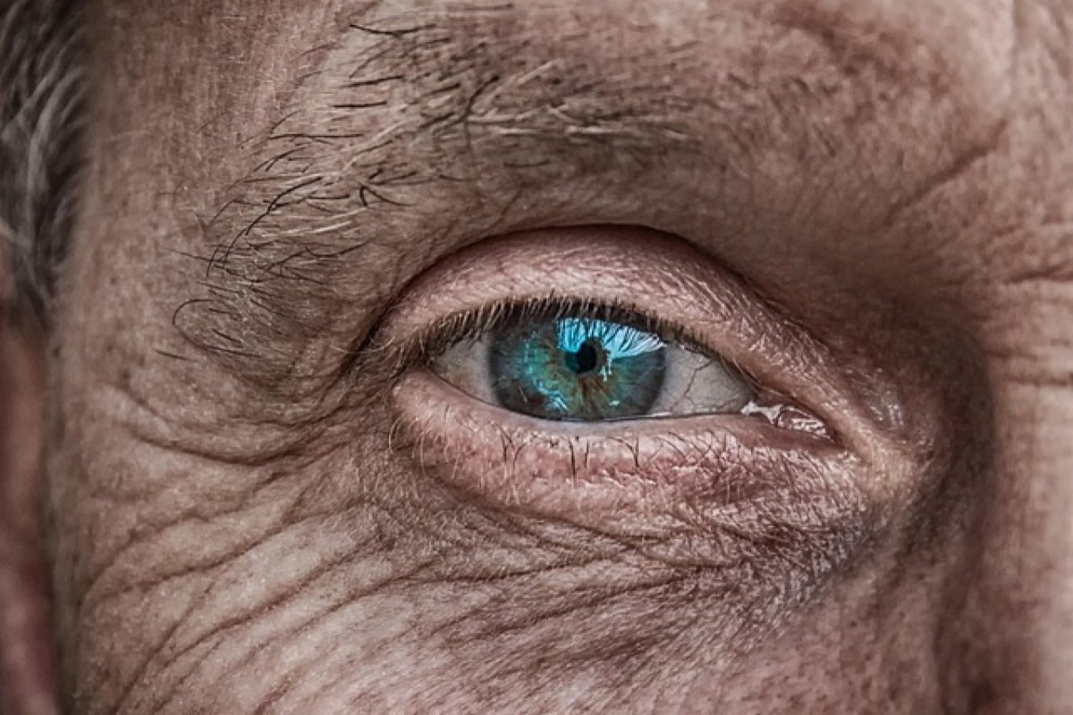 Aufschlussreiche Netzhautveränderungen Neue Erkenntnisse über das Risiko für Schizophrenie