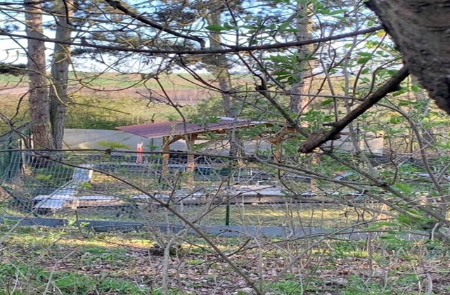 Ein von Bäumen umgebenes Gelände mit einem aufgestellten Holzunterstand und Zäunen. Im Hintergrund ist eine Struktur sichtbar, möglicherweise eine Anlage für Tiere.