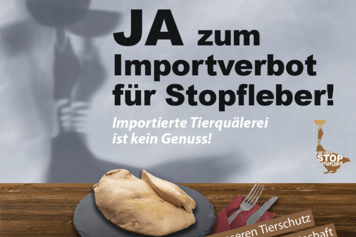 Der Weg zum Stopp der Stopfleber Initiativen und politische Debatten in der Schweiz