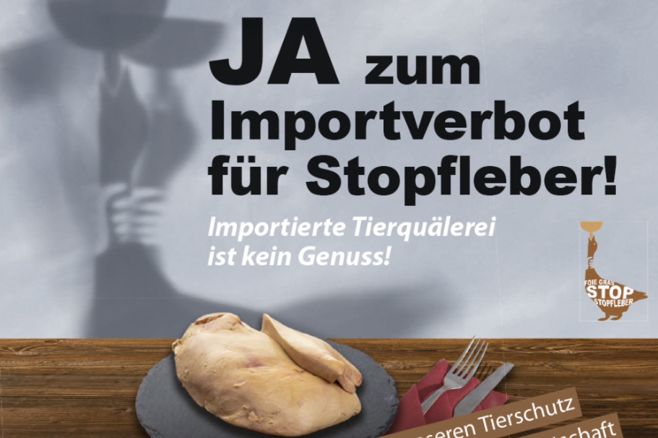 Der Weg zum Stopp der Stopfleber Initiativen und politische Debatten in der Schweiz