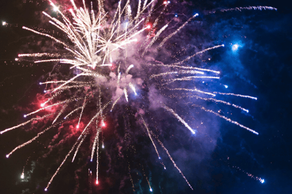Vuurwerk is een kwelling voor dieren