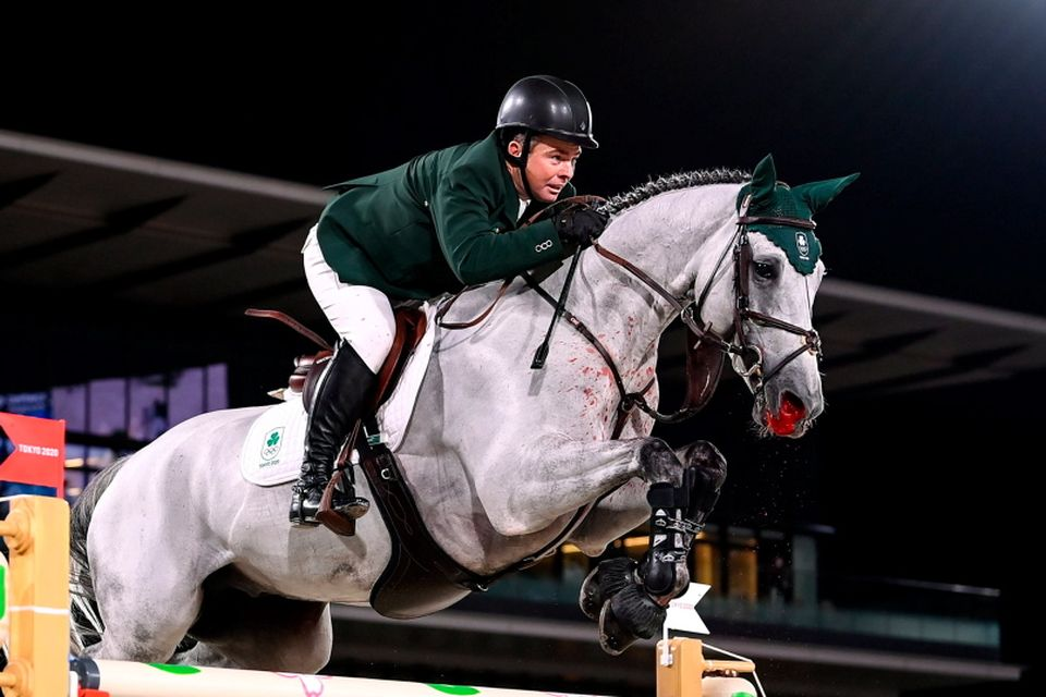 Hayvanlara karşı acımasızlık: IOC ve FEI aleyhine cezai suçlamalar