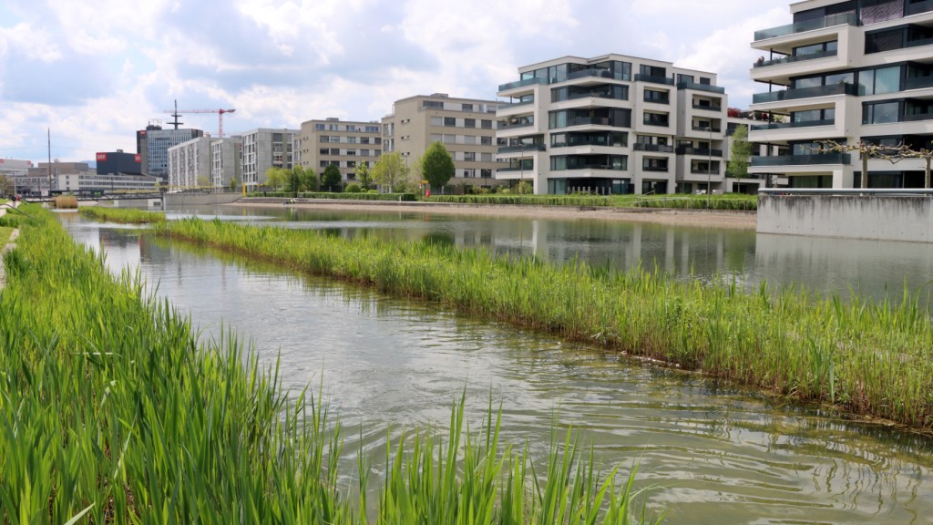 Urbanisation as a Driver of Biodiversity Loss