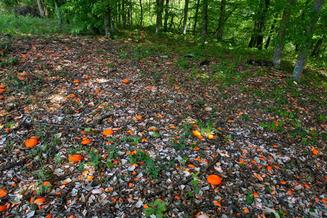 L'ex poligono di tiro venatorio di Embrach è stato completamente bonificato