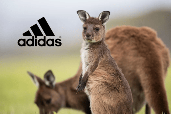Erfolg: Adidas schafft Känguruleder ab