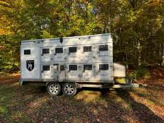 Dierenmishandeling met Zwitserse hulp