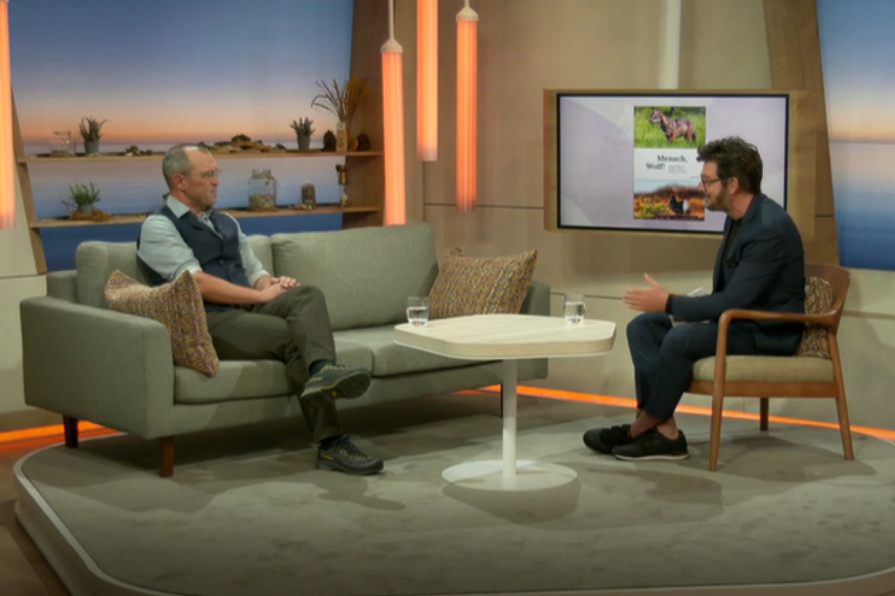 Somedia eine Anlaufstelle für Verschwörungstheoretiker