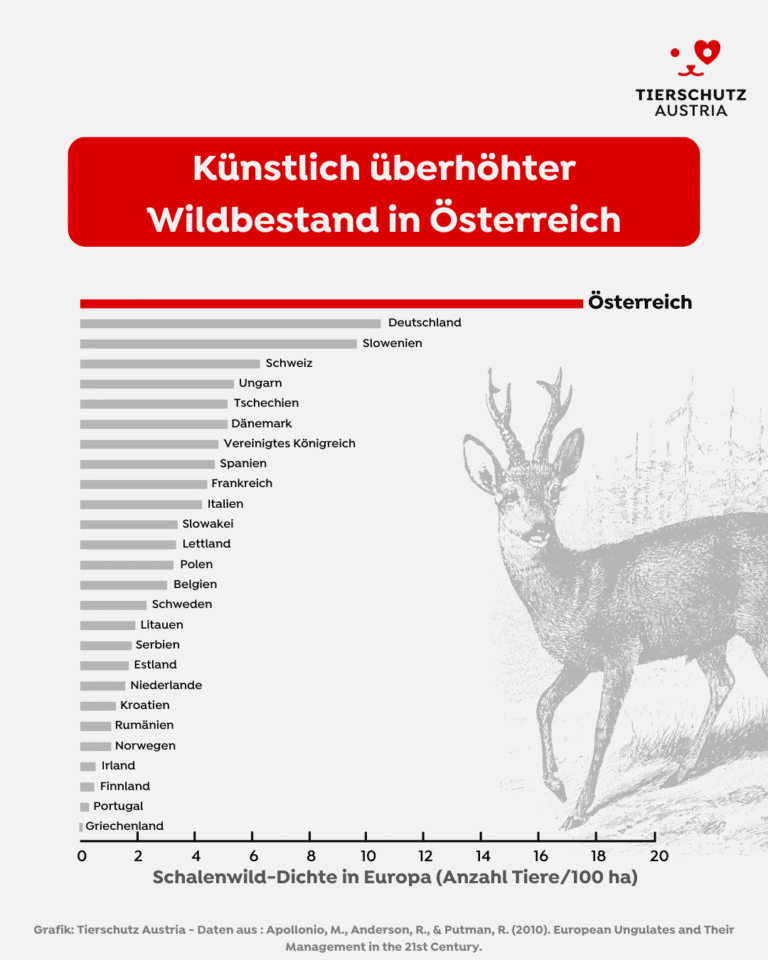 Graphique sur les populations de gibier artificiellement élevées en Autriche par rapport à d'autres pays européens, représenté par un diagramme à barres avec une illustration d'un chevreuil.