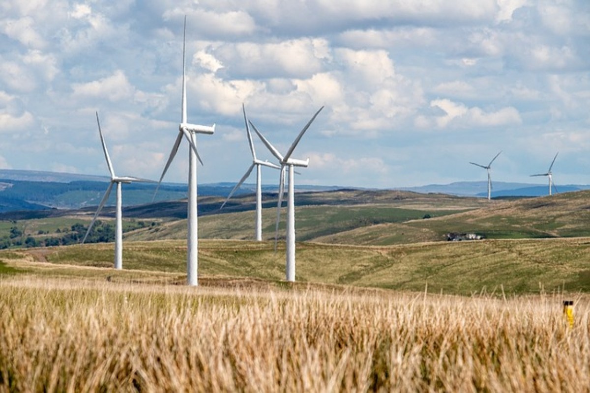 Umweltauswirkungen von Windkraftanlagen Die Gefahren von PFAS für Wildtiere
