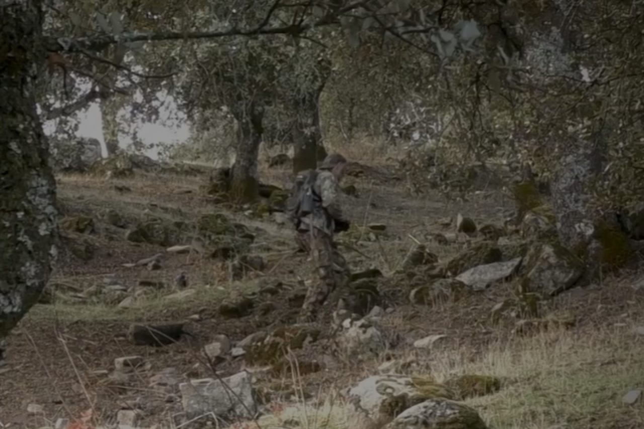 Caccia con l'arco in Svizzera: chiaramente inaccettabile