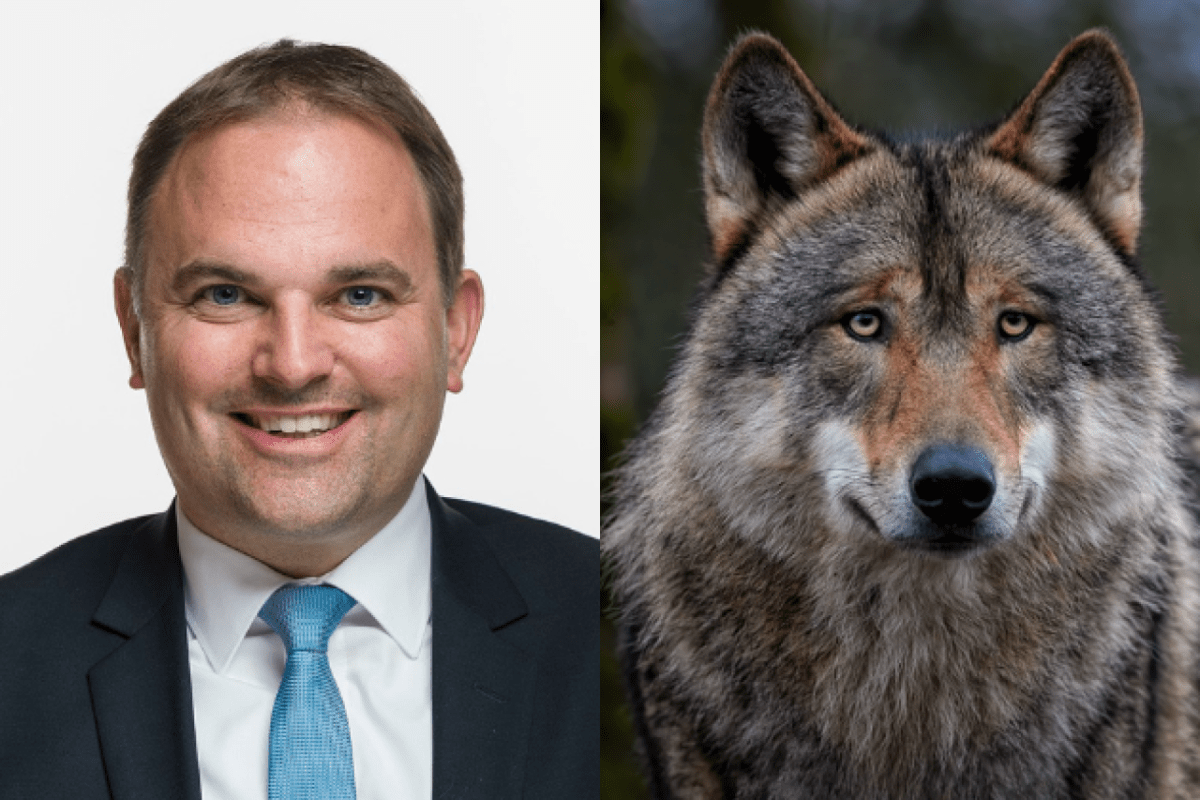 Die Doppelmoral von Marcel Dettling