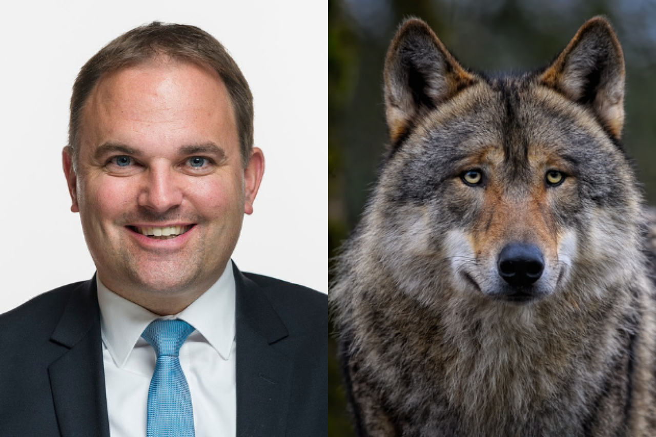 Die Doppelmoral von Marcel Dettling