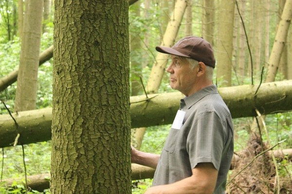 Transformation forestière : des voies vers des forêts mélangées résilientes face à la chasse