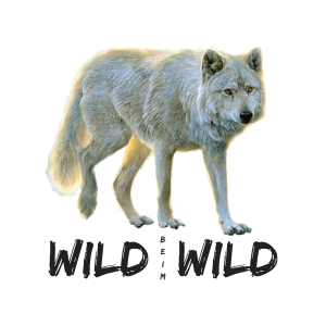 Wild beim Wild – Tierschutz für Wildtiere und gegen die Jagd