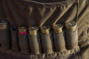 Dänemark ist das erste Land, das ein vollständiges Verbot von Bleimunition erlassen hat