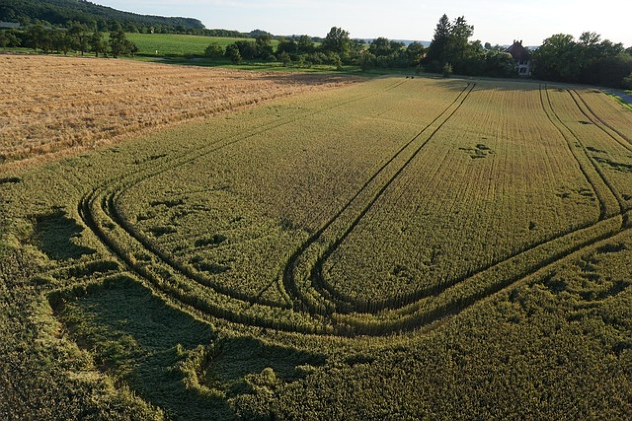 Una nuova legge per maggiore pace e tranquillità nella foresta.
