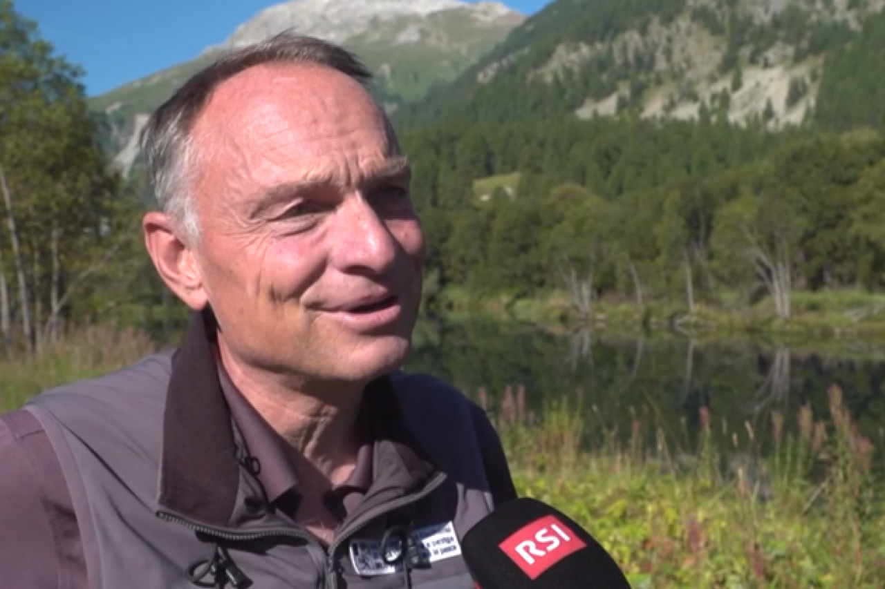 Graubünden: Die höchstgelegene Biberfamilie Europas im Engadin