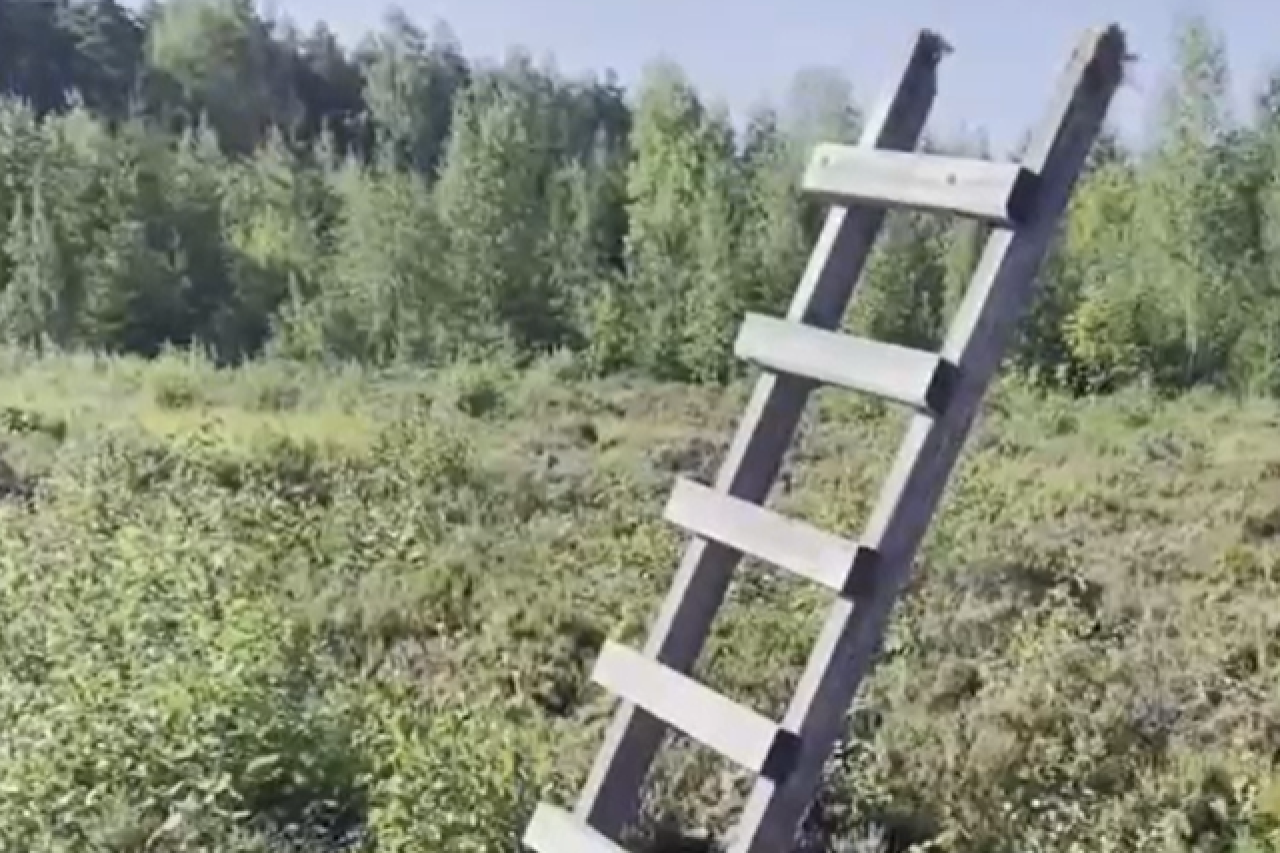 Jagdhochsitze in Südfinnland gezielt zerstört