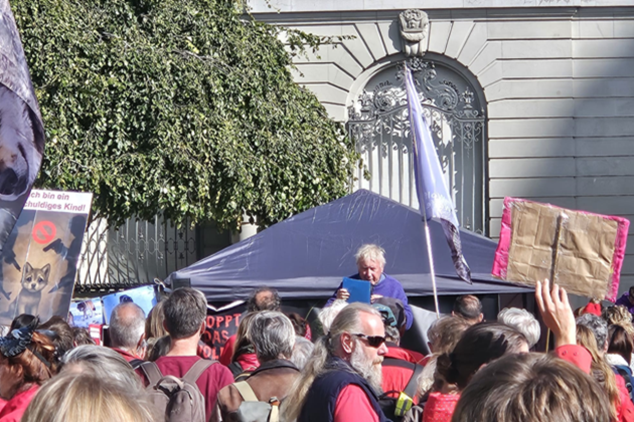 Hunderte demonstrieren für den Schutz der Wölfe