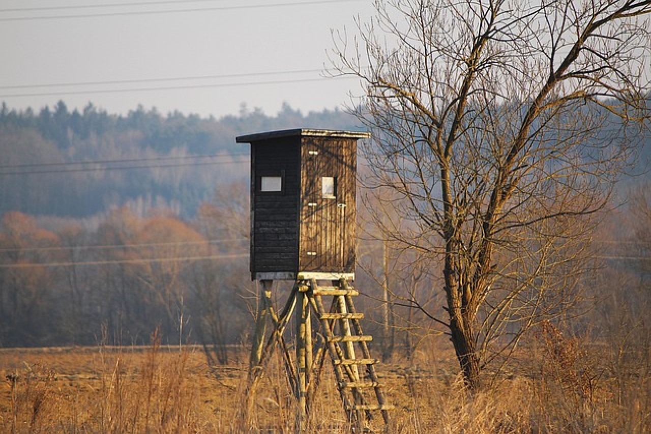 Tödlicher Jagdschuss in Italien Unfall entfacht Debatte über Sicherheit und Verantwortung