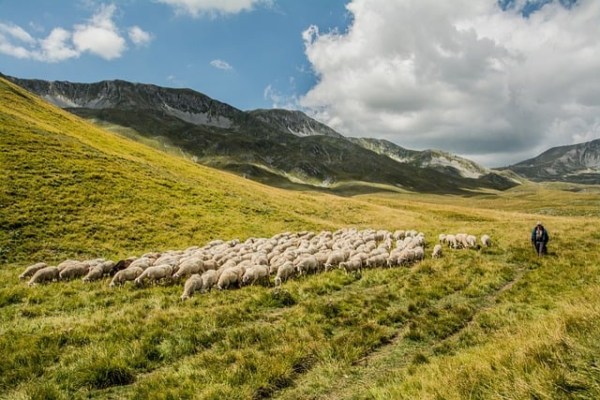 Warum bewaffnete Hirten der falsche Weg sind