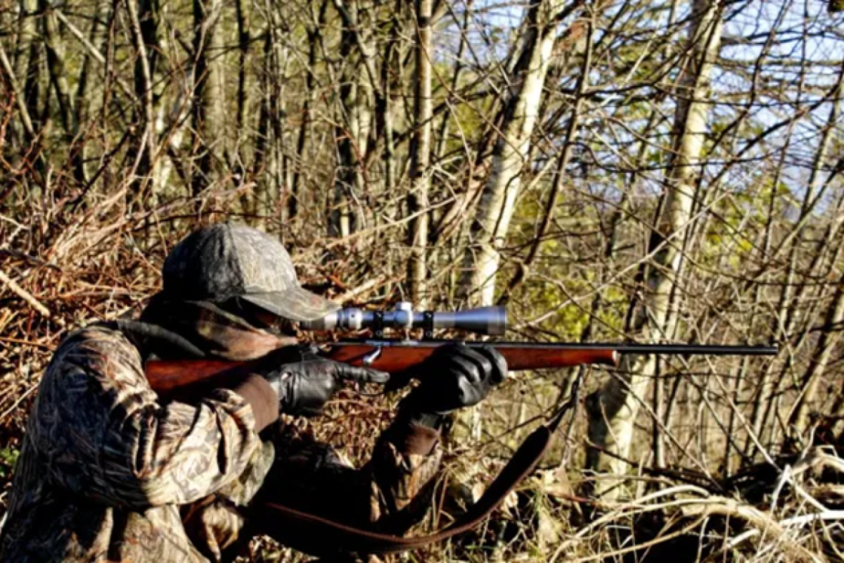 Hobby-Jäger werden gelobhudelt