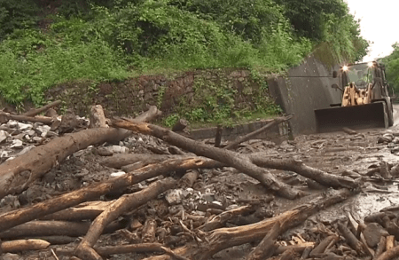 Jagd schafft Probleme, die sie vorgibt zu lösen
