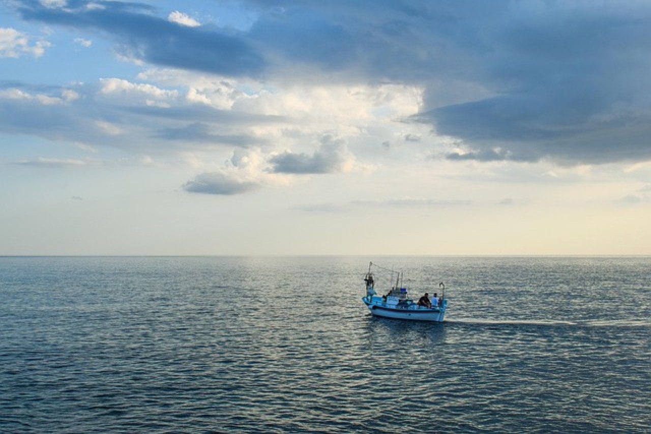 Roter Thun: Vom Kollaps zum Comeback