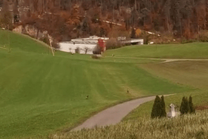 Solothurner Regierung verteidigt Tierquälerei Treibjagd bleibt erlaubt