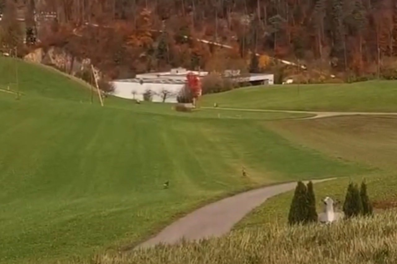 Il governo di Soletta difende la crudeltà verso gli animali.