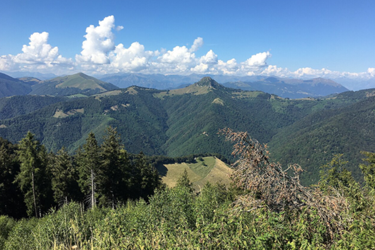 Tessiner Hobbyjäger als Wilderer Mit Schrotflinten über die Grenze
