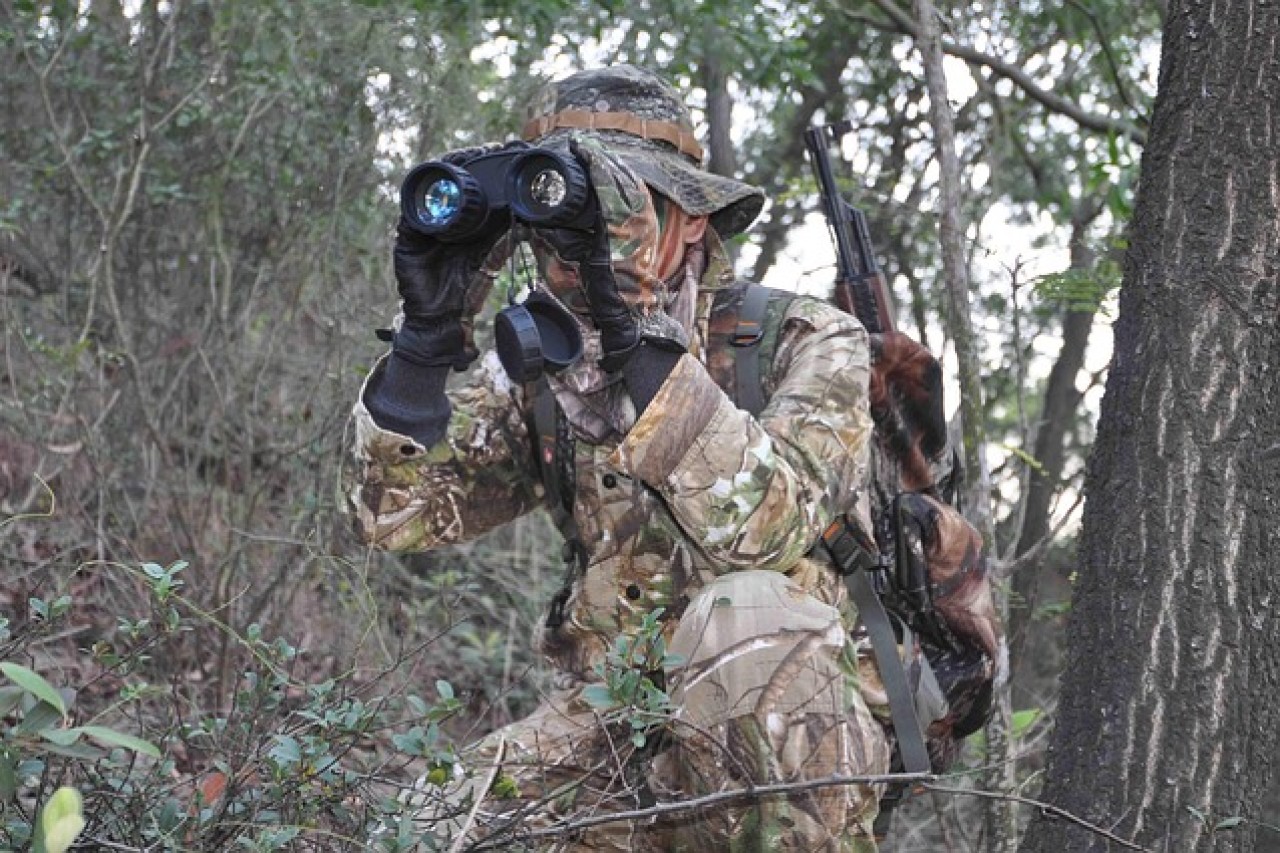 Treibjagd im Willbrigwald – Angst, Blut und die Täter