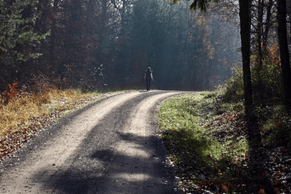 Passeggiate nel bosco a rischio: quando la caccia per hobby fa paura