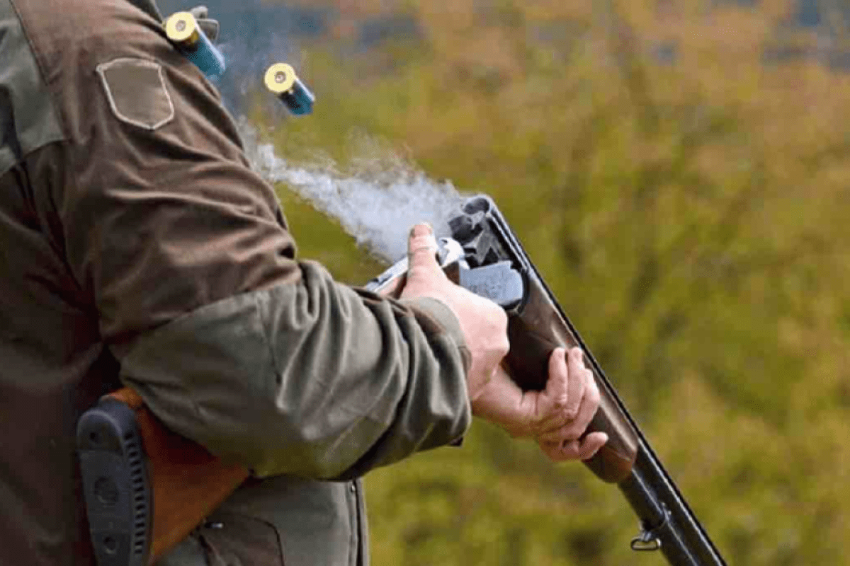 Wenn das Risiko der Hobby-Jagd zur Norm wird