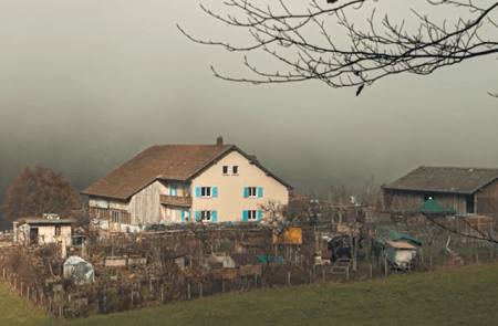 120 Hunde eingeschläfert – ein erschütternder Fall von Tierverwahrlosung