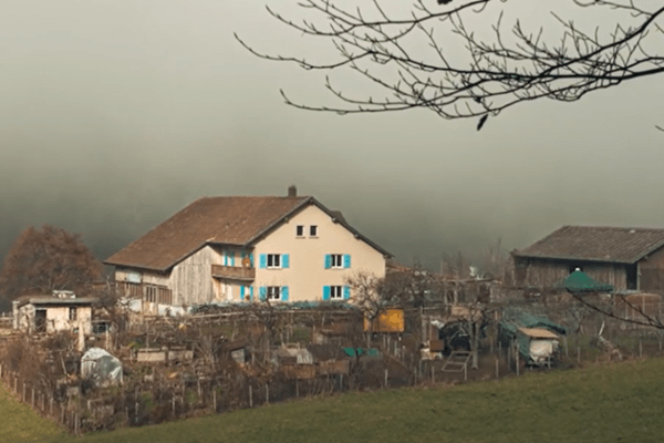 120 Hunde eingeschläfert: Tierverwahrlosung in Ramiswil