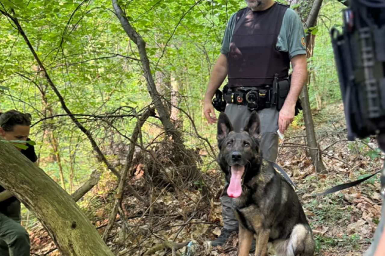 Chasse sans frontières : les infractions des chasseurs amateurs tessinois soulèvent des questions