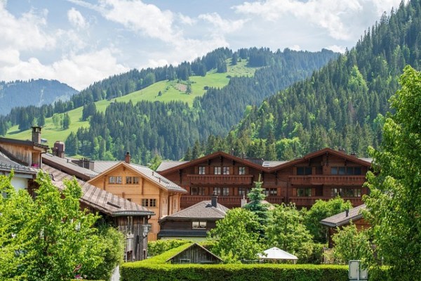 Berns Wald-Wild-Strategie: Freipass für Hobby-Jäger