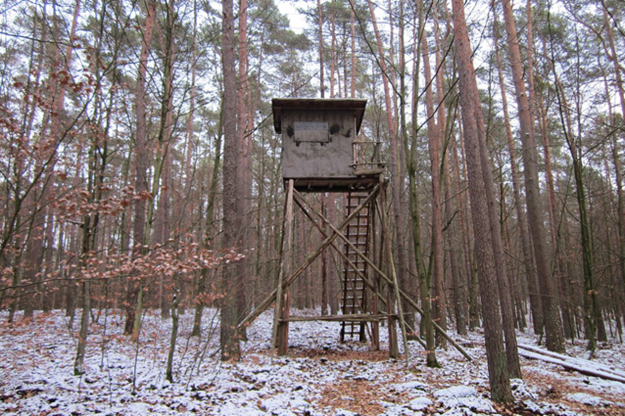 Sonderjagden und die Grenzen der Hobby-Jagd