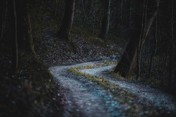 Scena del crimine bosco: la caccia per hobby come reato contro l'animale