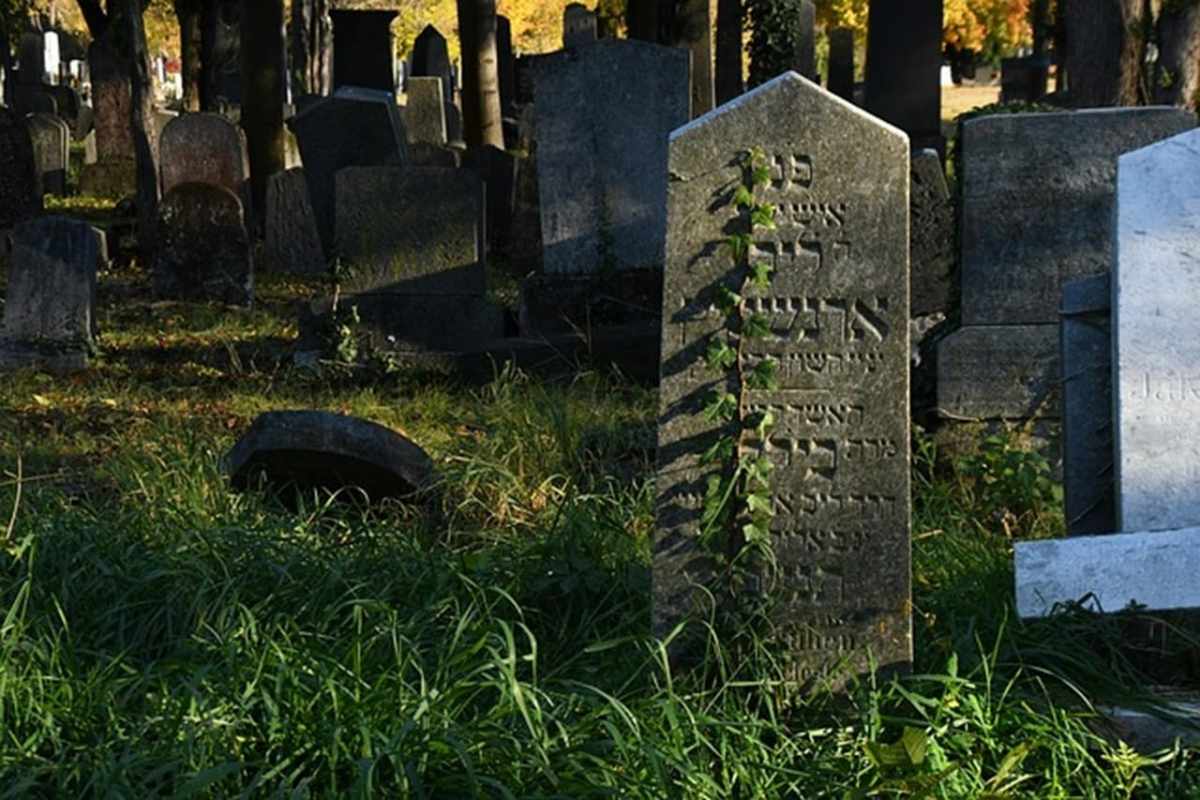 Tschechien Ein Hobby Jäger erschiesst einen Hobby Jäger