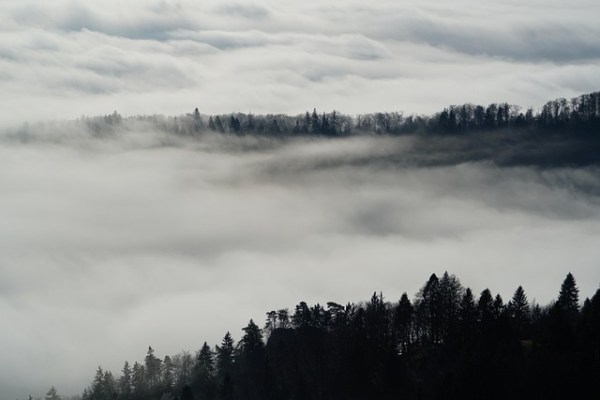 Pourquoi la chasse de loisir en Suisse n'est pas de la protection de la nature
