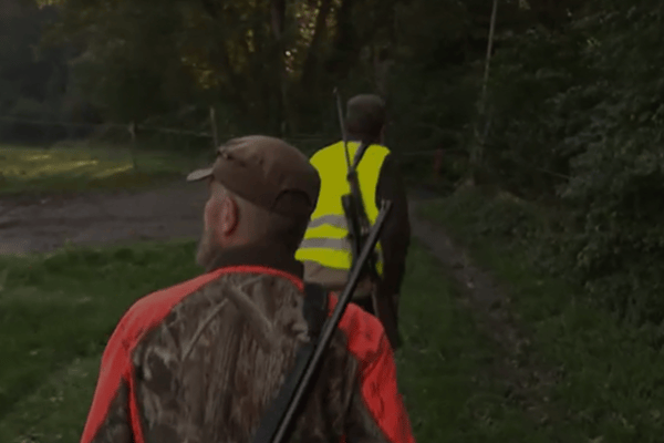 Pourquoi la chasse suisse a un problème de suivi