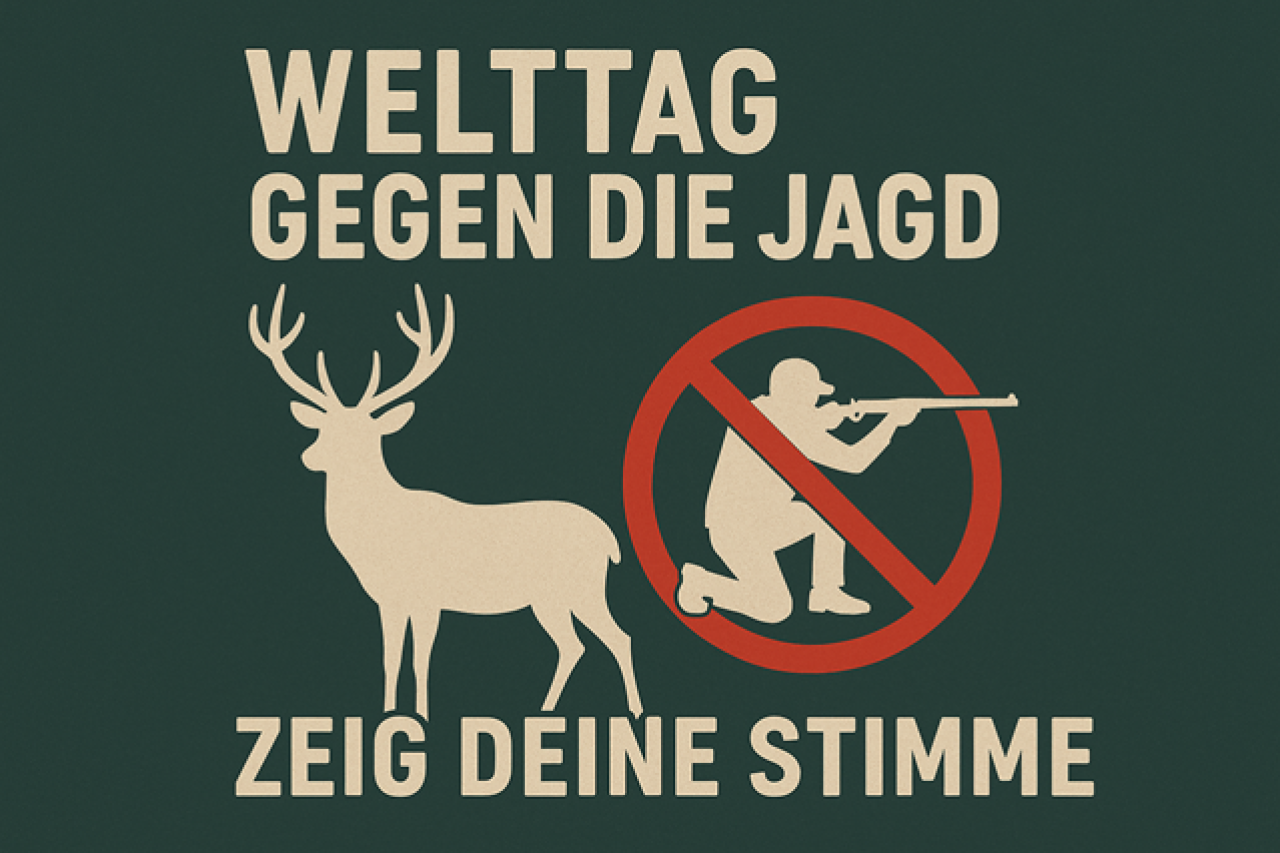 Warum genau ein Welttag gegen die Jagd