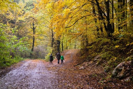 Wenn Hobby-Jäger schiessen, werden Spaziergänger zu Zielen