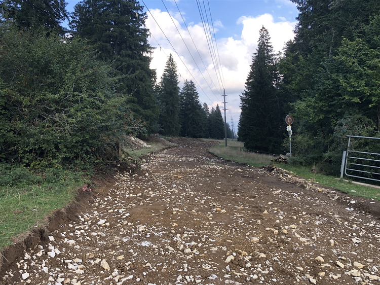 Une surface déboisée au sol défoncé pour la construction d'un parc éolien, entourée d'arbres et de lignes électriques en arrière-plan.