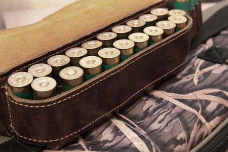 Blei in der Jagd Wie Politik, Lobby und Übergangsfristen ein Gift am Leben halten und was das für die Schweiz bedeutet